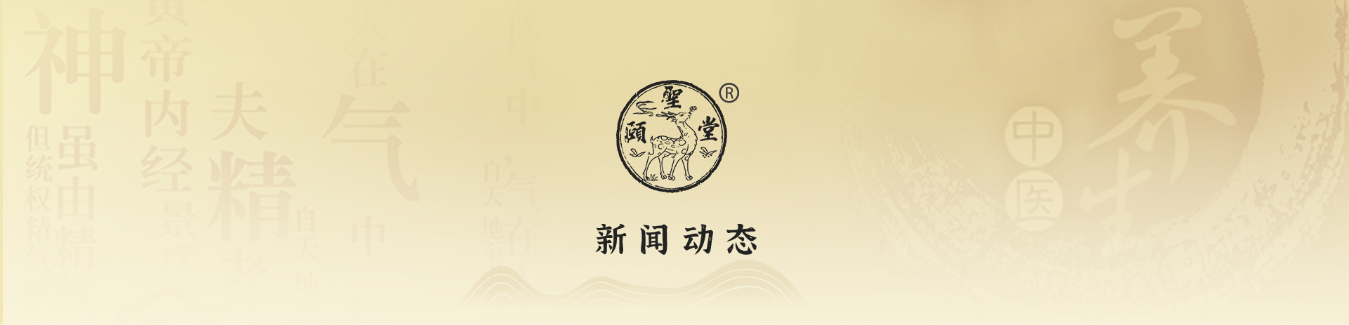 新聞動態(tài)